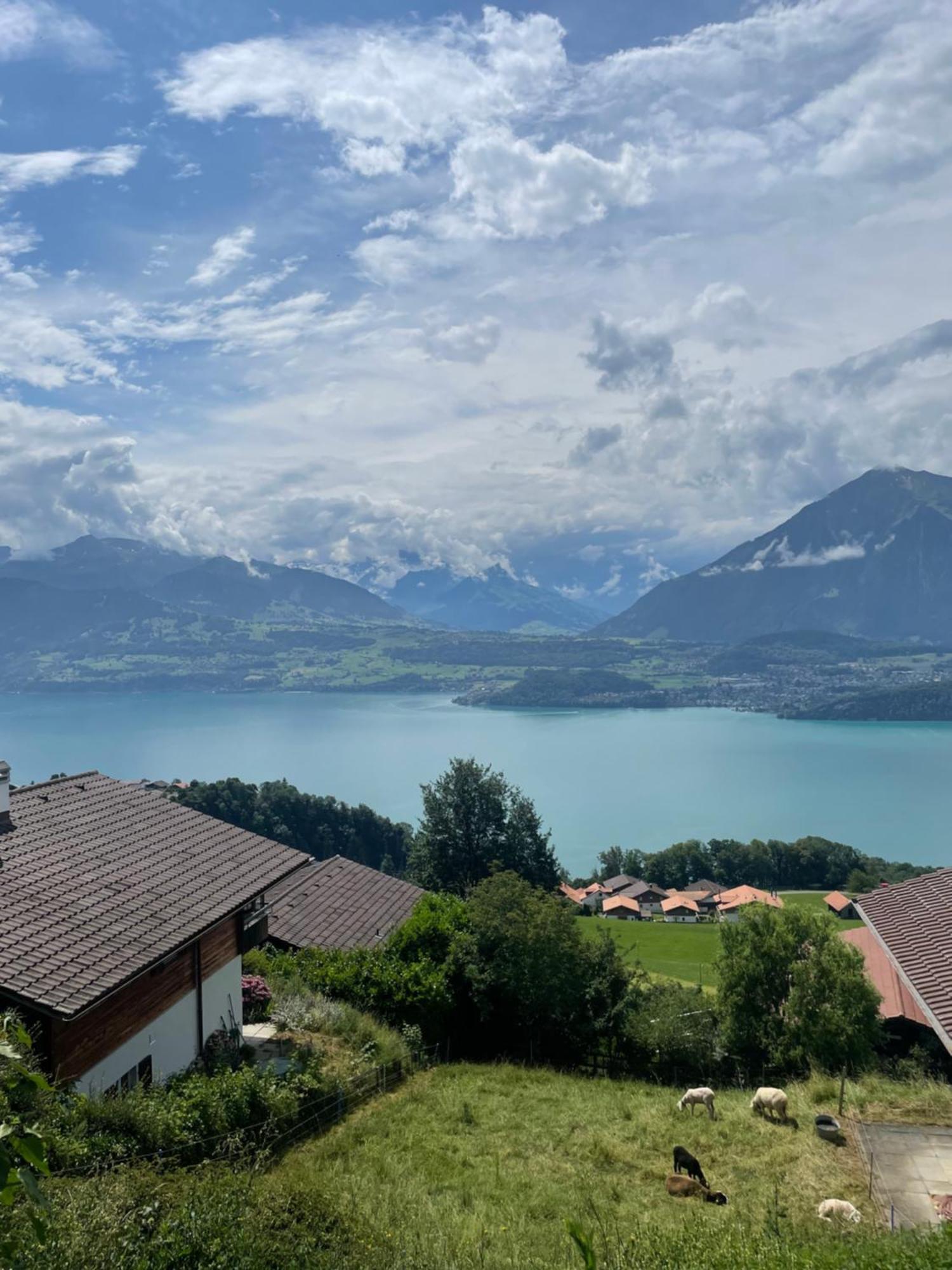Seeblick Aeschlen ภายนอก รูปภาพ